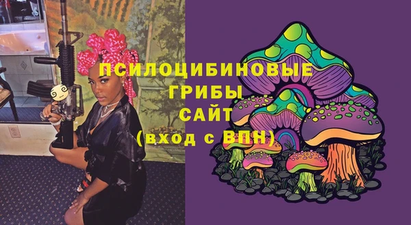 шишки Белоозёрский