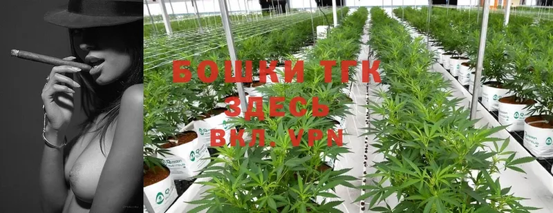 Конопля SATIVA & INDICA  Лениногорск 